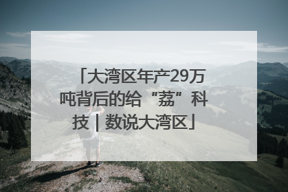 大湾区年产29万吨背后的给“荔”科技｜数说大湾区